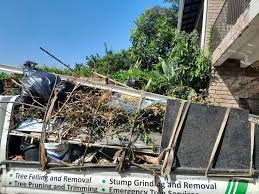 Best Attic Cleanout  in Ripley, MS